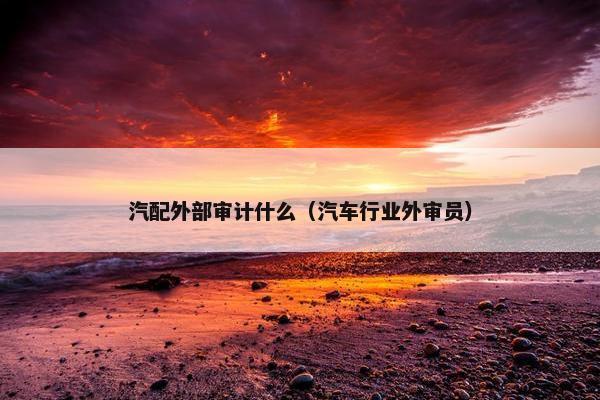 汽配外部审计什么（汽车行业外审员）
