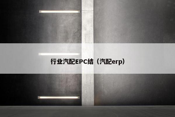 行业汽配EPC结（汽配erp）