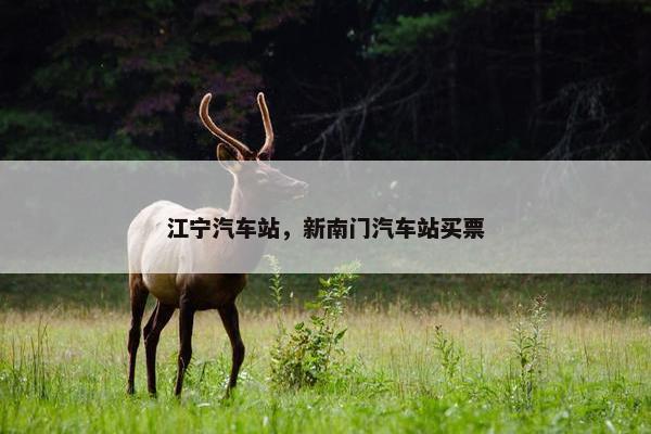 江宁汽车站，新南门汽车站买票