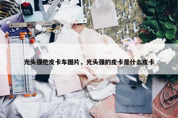 光头强他皮卡车图片，光头强的皮卡是什么皮卡