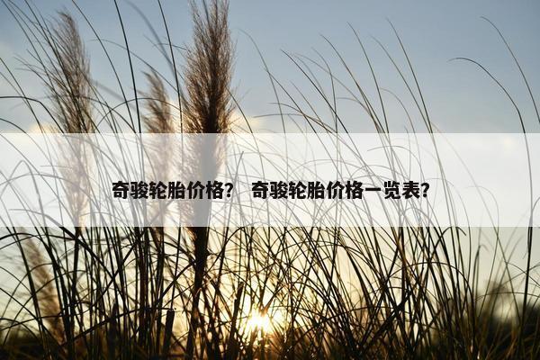 奇骏轮胎价格？ 奇骏轮胎价格一览表？