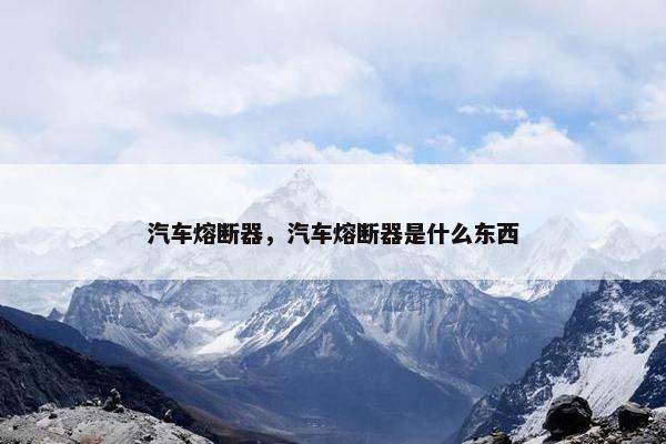 汽车熔断器，汽车熔断器是什么东西