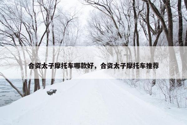 合资太子摩托车哪款好，合资太子摩托车推荐