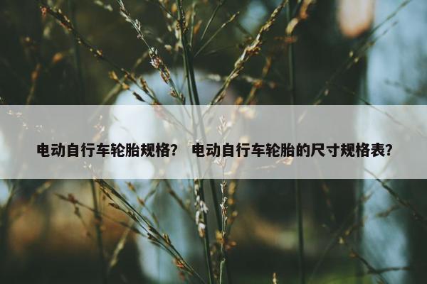 电动自行车轮胎规格？ 电动自行车轮胎的尺寸规格表？