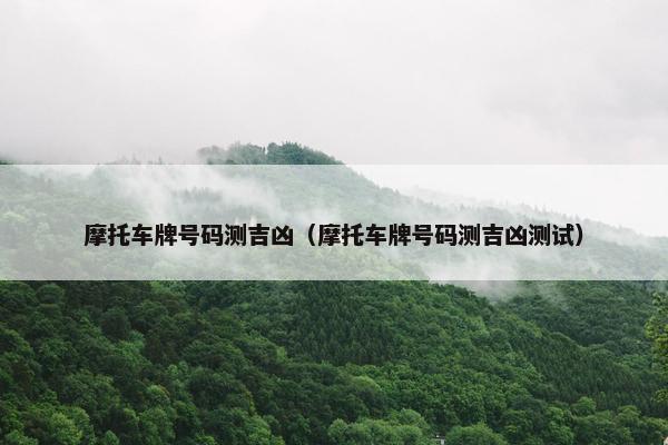 摩托车牌号码测吉凶（摩托车牌号码测吉凶测试）