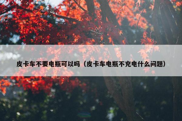 皮卡车不要电瓶可以吗（皮卡车电瓶不充电什么问题）
