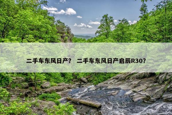 二手车东风日产？ 二手车东风日产启辰R30？
