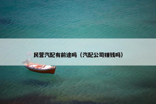 民营汽配有前途吗（汽配公司赚钱吗）