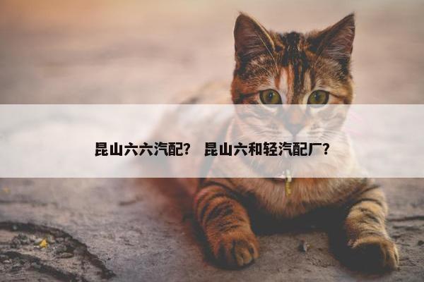 昆山六六汽配？ 昆山六和轻汽配厂？