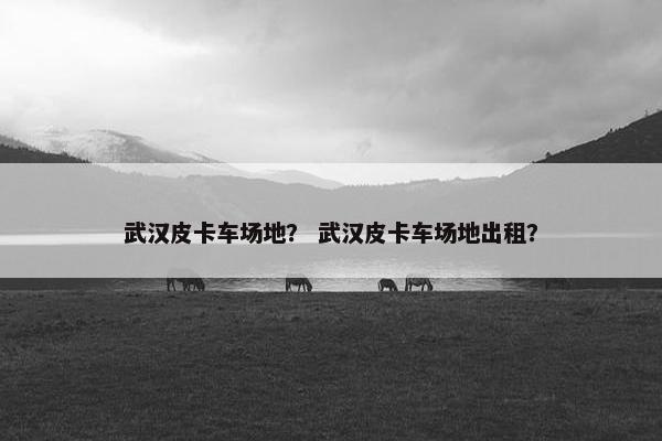 武汉皮卡车场地？ 武汉皮卡车场地出租？