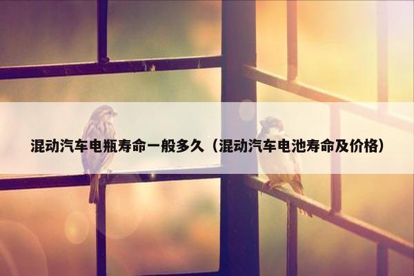 混动汽车电瓶寿命一般多久（混动汽车电池寿命及价格）