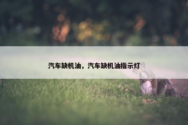 汽车缺机油，汽车缺机油指示灯