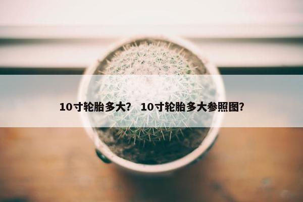 10寸轮胎多大？ 10寸轮胎多大参照图？