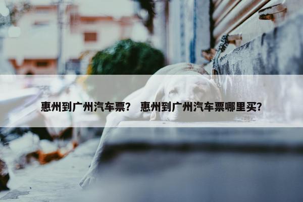 惠州到广州汽车票？ 惠州到广州汽车票哪里买？