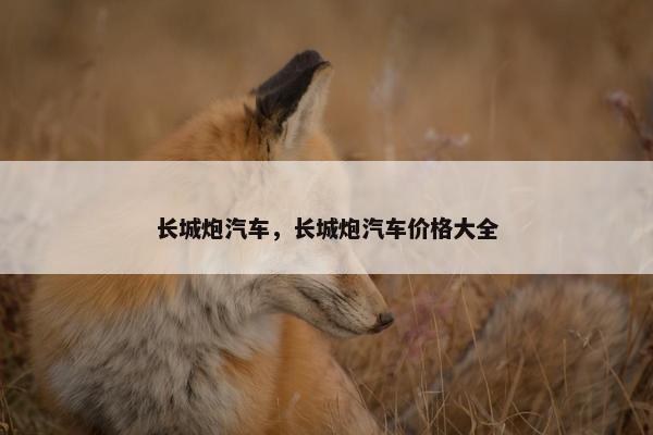长城炮汽车，长城炮汽车价格大全