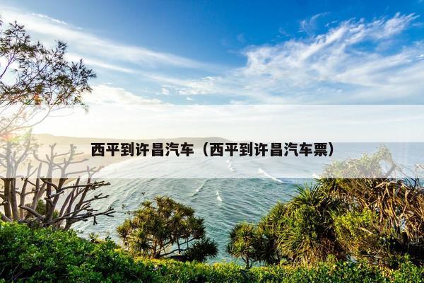 西平到许昌汽车（西平到许昌汽车票）