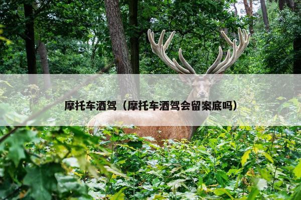摩托车酒驾（摩托车酒驾会留案底吗）