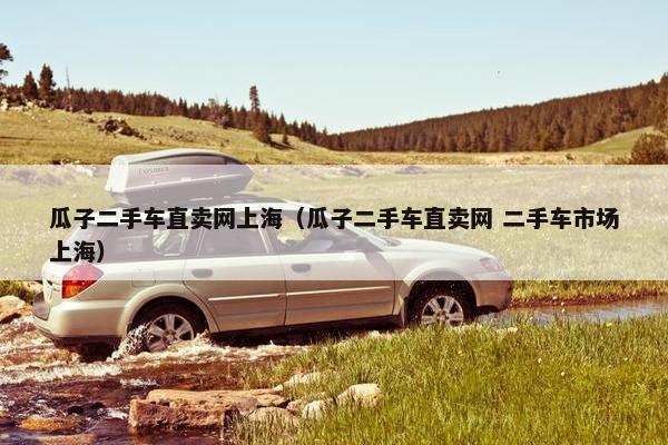 瓜子二手车直卖网上海（瓜子二手车直卖网 二手车市场上海）