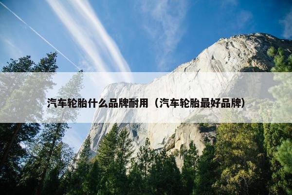 汽车轮胎什么品牌耐用（汽车轮胎最好品牌）