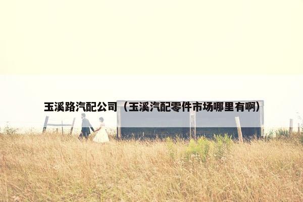 玉溪路汽配公司（玉溪汽配零件市场哪里有啊）