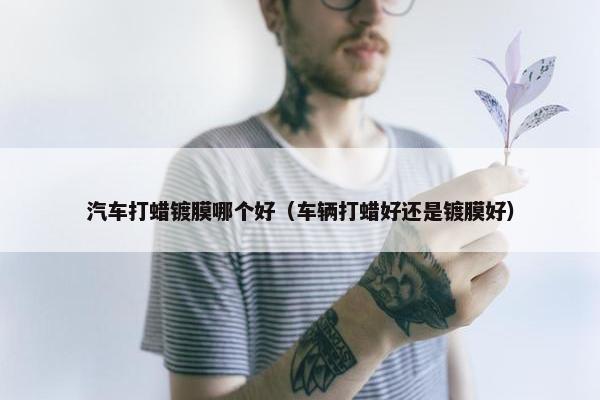 汽车打蜡镀膜哪个好（车辆打蜡好还是镀膜好）