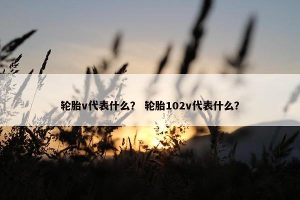 轮胎v代表什么？ 轮胎102v代表什么？