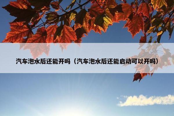 汽车泡水后还能开吗（汽车泡水后还能启动可以开吗）
