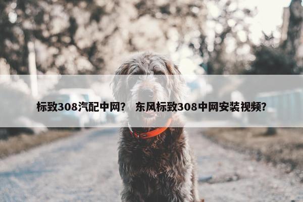 标致308汽配中网？ 东风标致308中网安装视频？