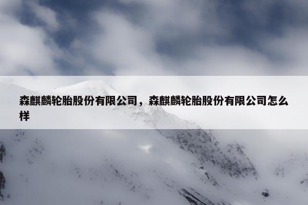 森麒麟轮胎股份有限公司，森麒麟轮胎股份有限公司怎么样