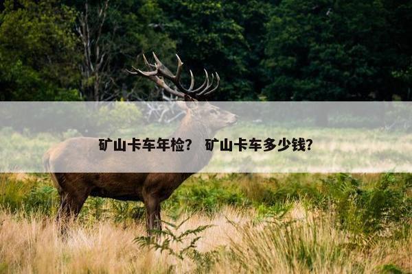 矿山卡车年检？ 矿山卡车多少钱？