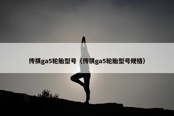 传祺ga5轮胎型号（传祺ga5轮胎型号规格）