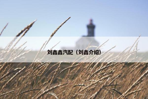 刘鑫鑫汽配（刘鑫介绍）