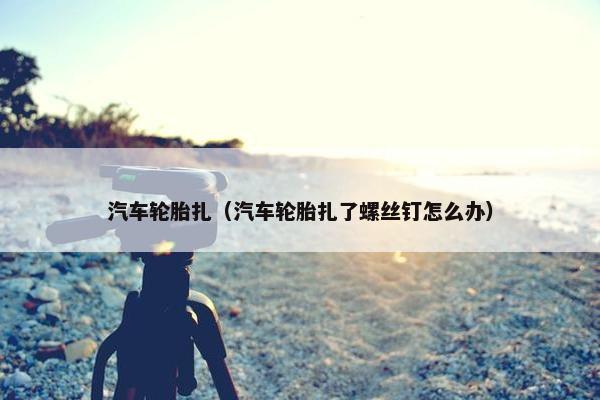 汽车轮胎扎（汽车轮胎扎了螺丝钉怎么办）