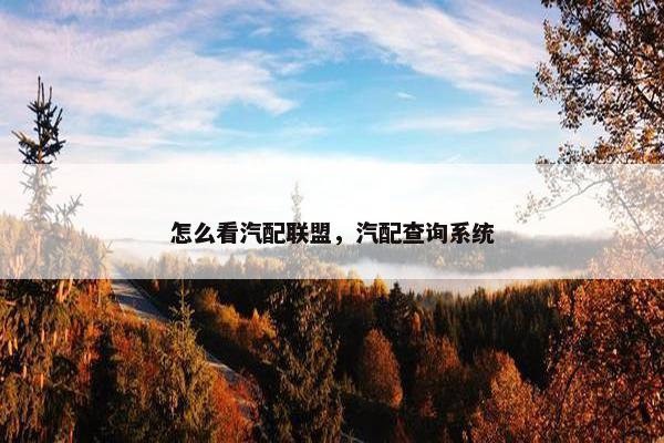 怎么看汽配联盟，汽配查询系统