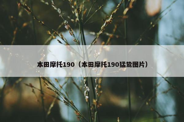 本田摩托190（本田摩托190猛鸷图片）