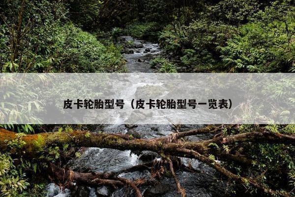 皮卡轮胎型号（皮卡轮胎型号一览表）