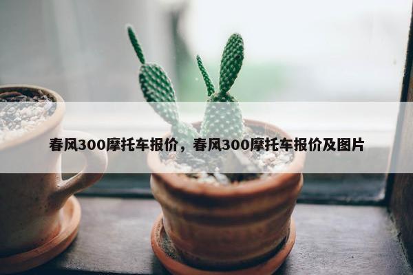 春风300摩托车报价，春风300摩托车报价及图片