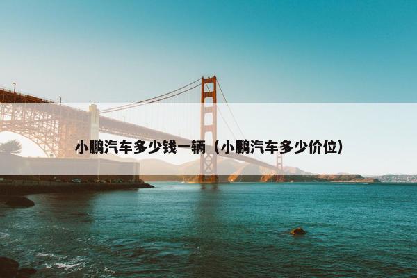 小鹏汽车多少钱一辆（小鹏汽车多少价位）