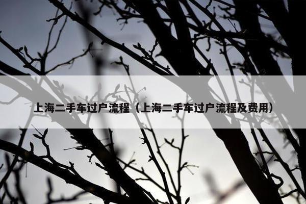 上海二手车过户流程（上海二手车过户流程及费用）