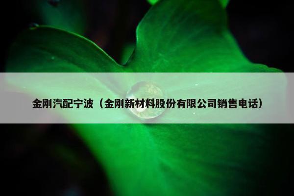 金刚汽配宁波（金刚新材料股份有限公司销售电话）