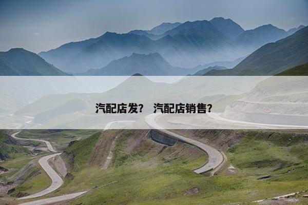汽配店发？ 汽配店销售？