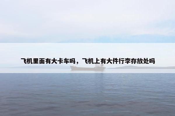 飞机里面有大卡车吗，飞机上有大件行李存放处吗