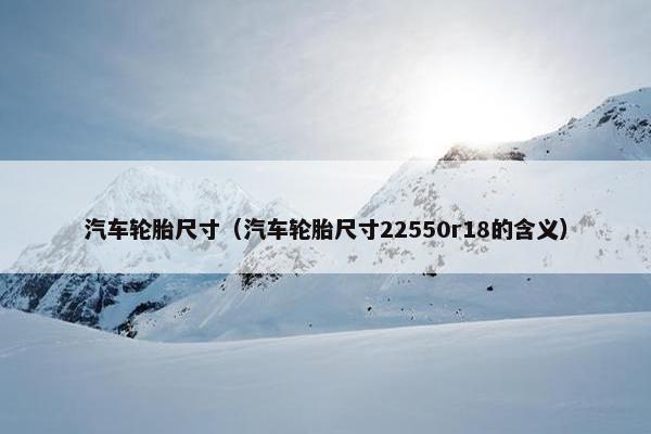 汽车轮胎尺寸（汽车轮胎尺寸22550r18的含义）