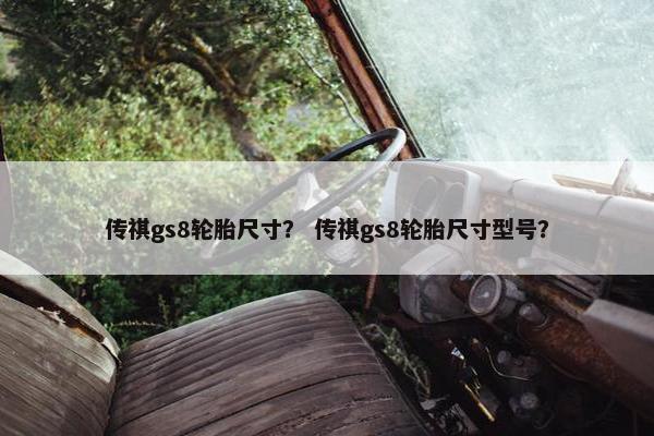 传祺gs8轮胎尺寸？ 传祺gs8轮胎尺寸型号？