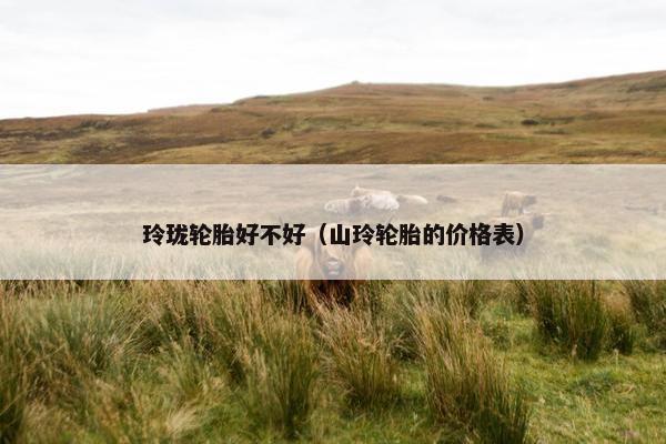 玲珑轮胎好不好（山玲轮胎的价格表）