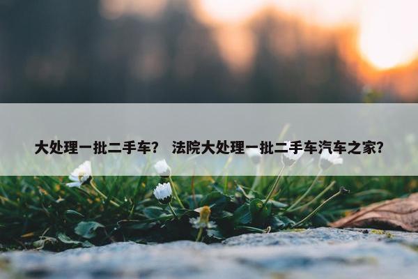 大处理一批二手车？ 法院大处理一批二手车汽车之家？
