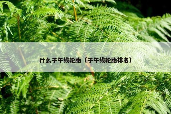 什么子午线轮胎（子午线轮胎排名）