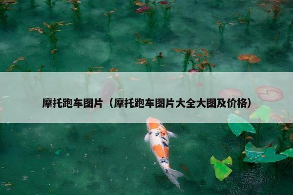 摩托跑车图片（摩托跑车图片大全大图及价格）