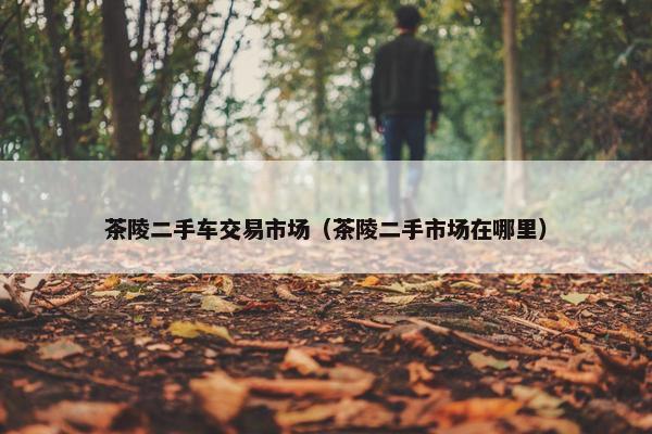茶陵二手车交易市场（茶陵二手市场在哪里）