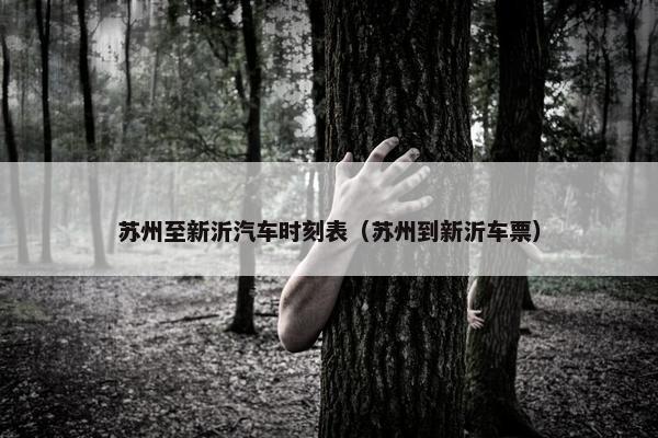 苏州至新沂汽车时刻表（苏州到新沂车票）